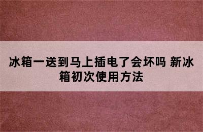 冰箱一送到马上插电了会坏吗 新冰箱初次使用方法